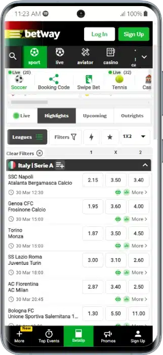 Overview Betway Sports Section